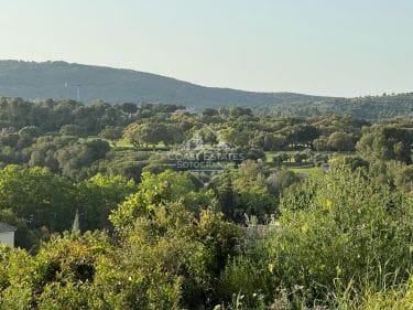 Four large buildable plots for sale at a discounted price in Sotogrande Alto